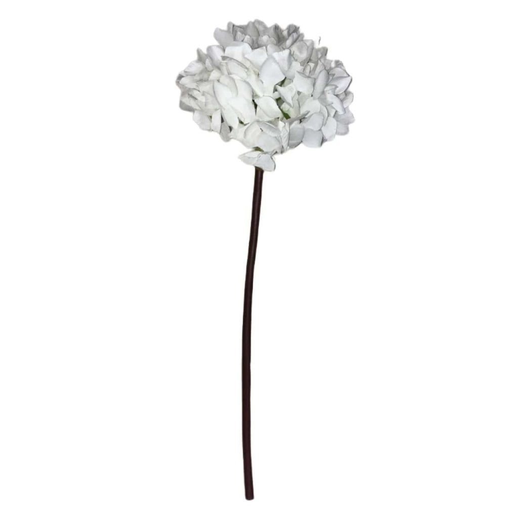 گل ارتانسیا سفید