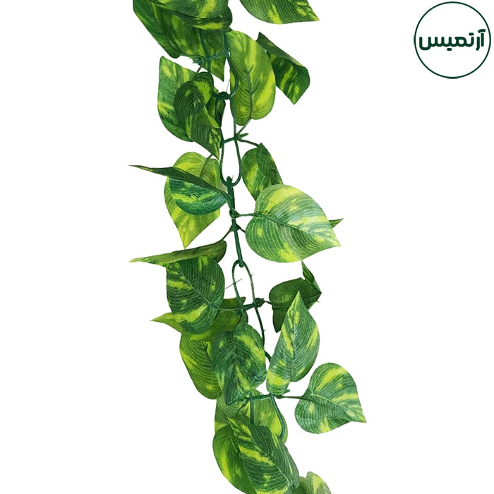 ریسه برگ مصنوعی پیتوس