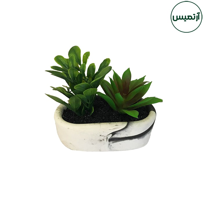 گلدان کاکتوس مصنوعی بیضی برگی