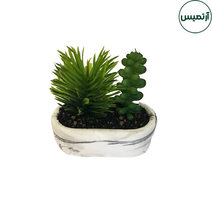 گلدان کاکتوس مصنوعی بیضی 4 گلدان کاکتوس مصنوعی بیضی سوزنی