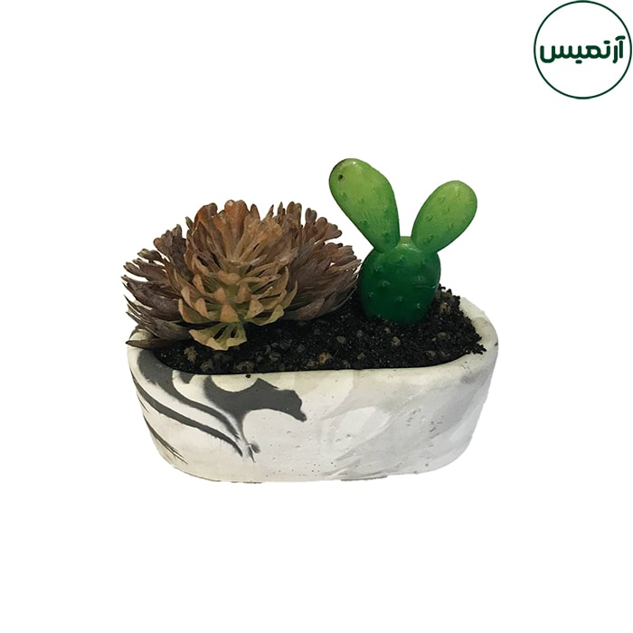 گلدان کاکتوس مصنوعی بیضی 3 گلدان کاکتوس مصنوعی بیضی بنفش