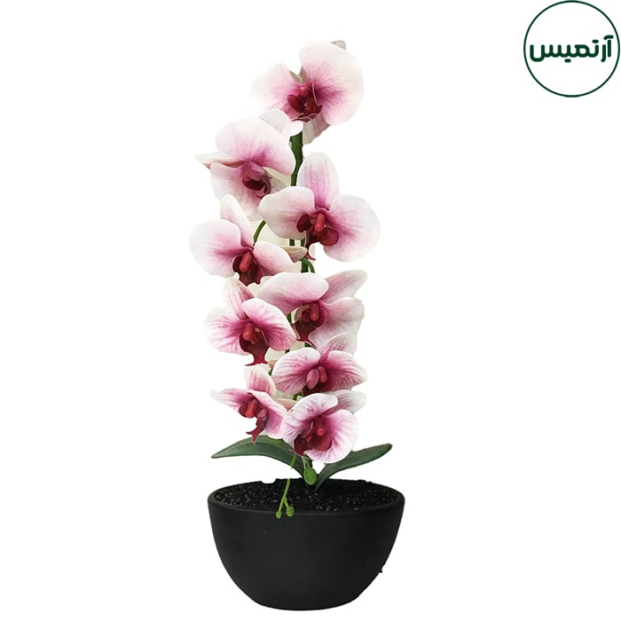 گلدان ارکیده مصنوعی سرخابی