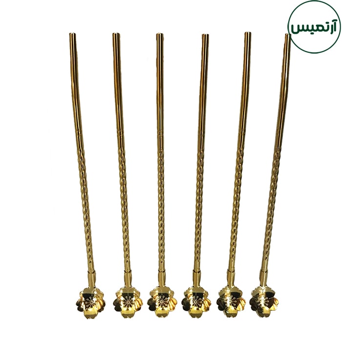 نی قاشقدار استیل طلایی