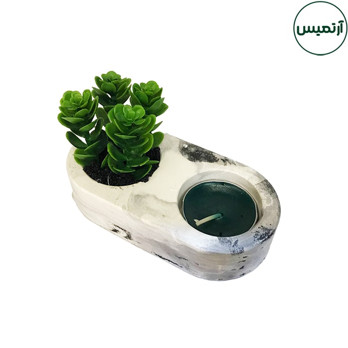 کاکتوس مصنوعی جاشمعی 6 کاکتوس مصنوعی جاشمعی سبز