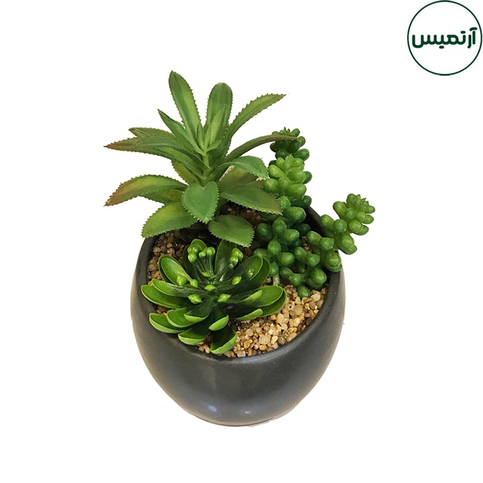 گلدان کاکتوس مصنوعی مورب 2 گلدان کاکتوس مصنوعی مورب برگی