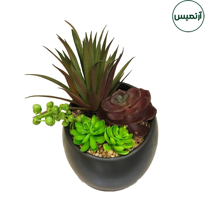 گلدان کاکتوس مصنوعی مورب 5 گلدان کاکتوس مصنوعی مورب برگ باریک