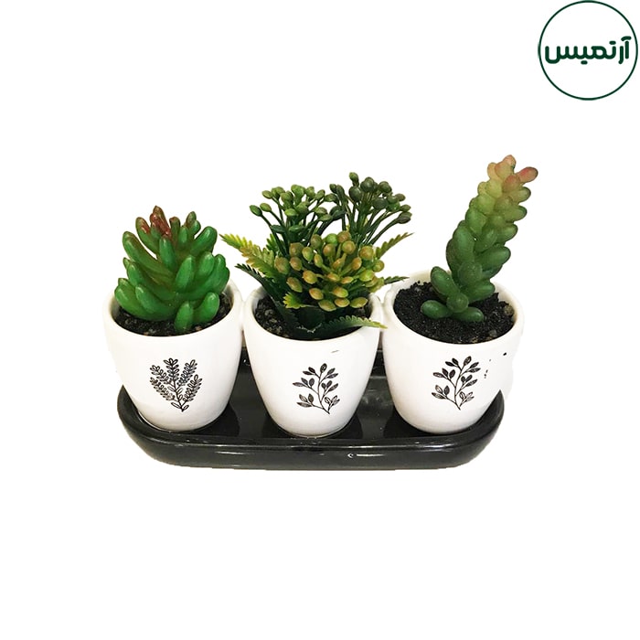 گلدان کاکتوس مصنوعی 3 تایی کاجی