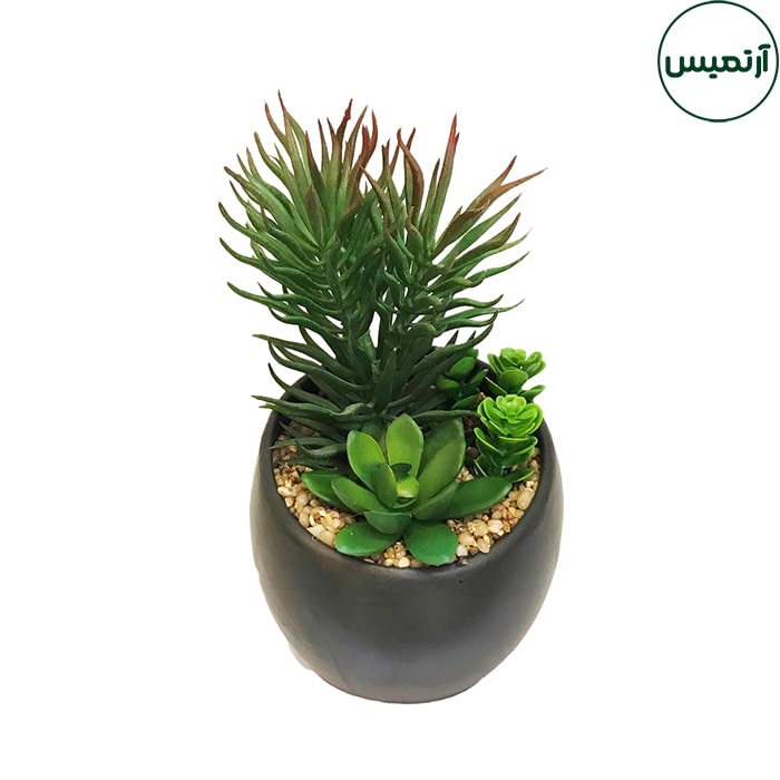 گلدان کاکتوس مصنوعی مورب 4 گلدان کاکتوس مصنوعی مورب سوزنی