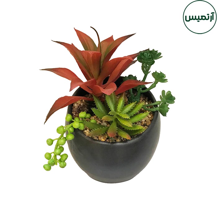 گلدان کاکتوس مصنوعی مورب 3 گلدان کاکتوس مصنوعی مورب برگ قرمز