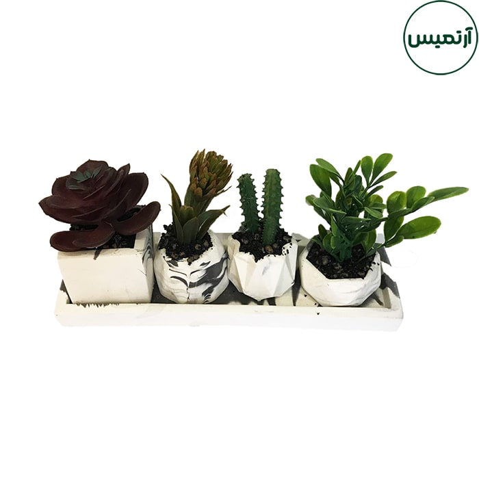 گلدان کاکتوس مصنوعی 4تایی 5 گلدان کاکتوس مصنوعی 4تایی بنفش