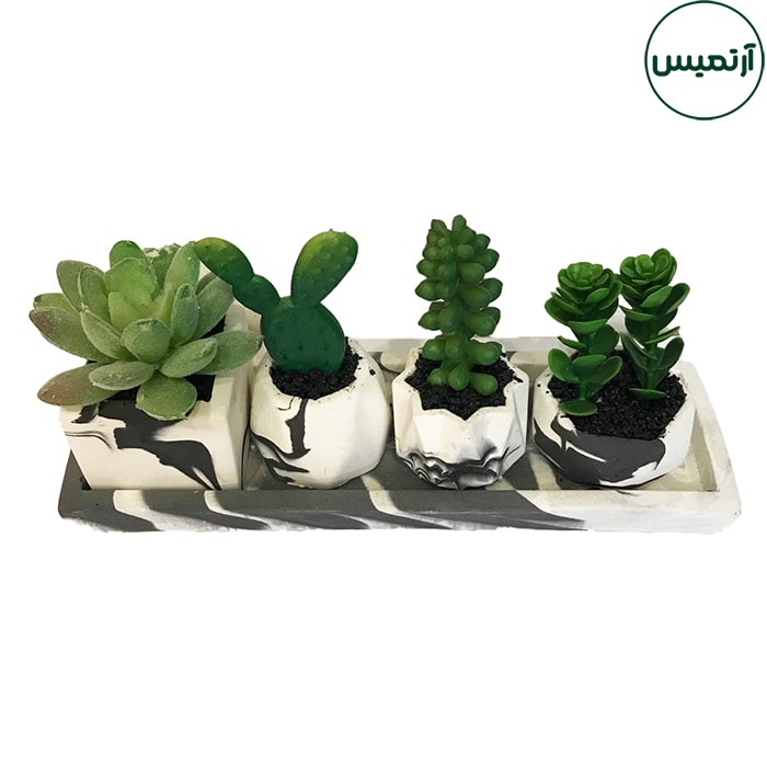 گلدان کاکتوس مصنوعی 4تایی 4 گلدان کاکتوس مصنوعی 4تایی تکزاس