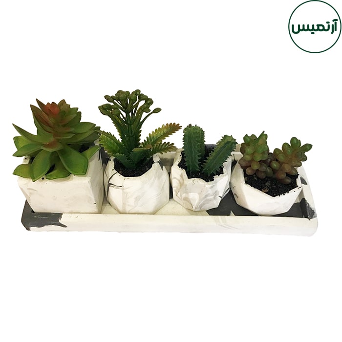 گلدان کاکتوس مصنوعی 4تایی 3 گلدان کاکتوس مصنوعی 4تایی برگ پهن
