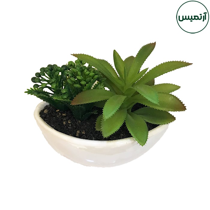 گلدان کاکتوس مصنوعی قایقی 7 گلدان کاکتوس مصنوعی قایقی برگ پهن