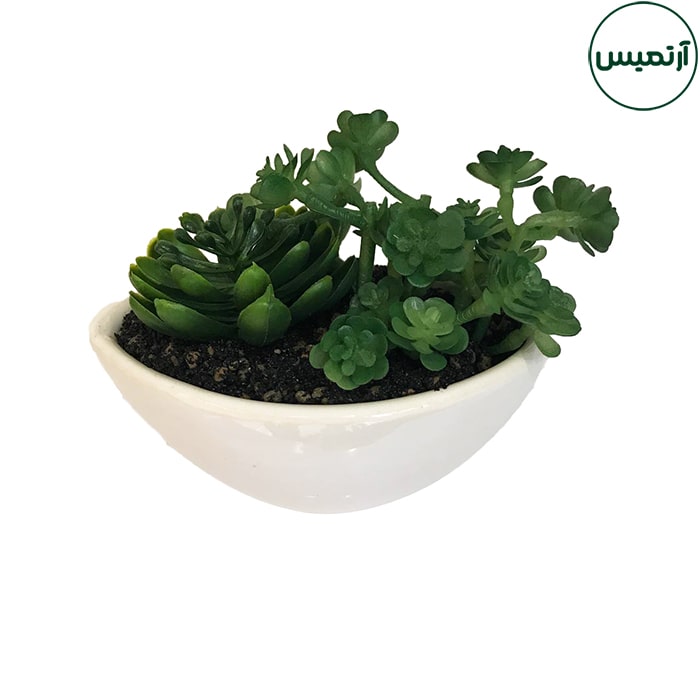 گلدان کاکتوس مصنوعی قایقی برگی
