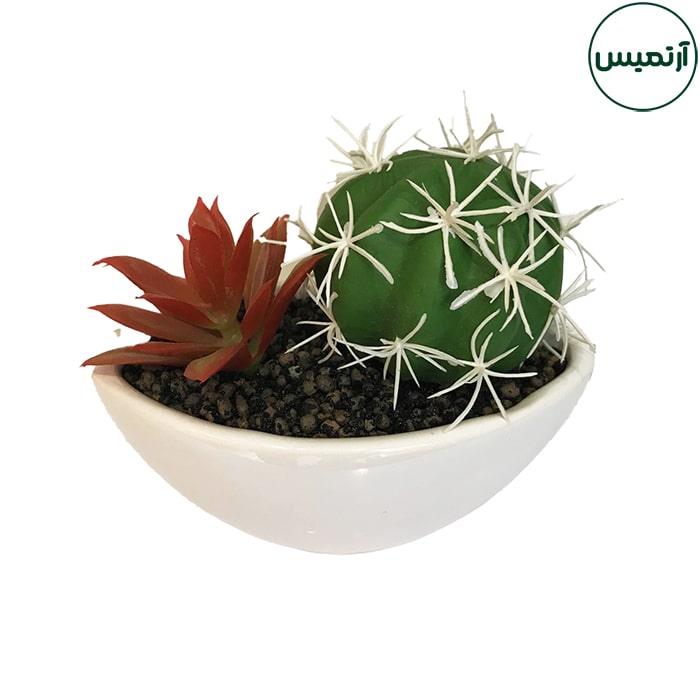 گلدان کاکتوس مصنوعی قایقی 5 گلدان کاکتوس مصنوعی قایقی تیغ تیغی