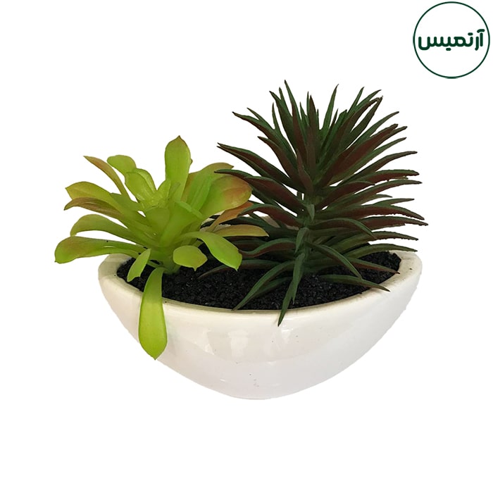 گلدان کاکتوس مصنوعی قایقی 4 گلدان کاکتوس مصنوعی قایقی برگ روشن