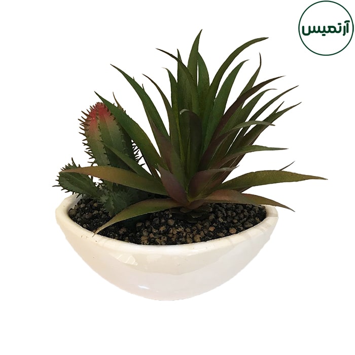 گلدان کاکتوس مصنوعی قایقی 3 گلدان کاکتوس مصنوعی قایقی کشیده