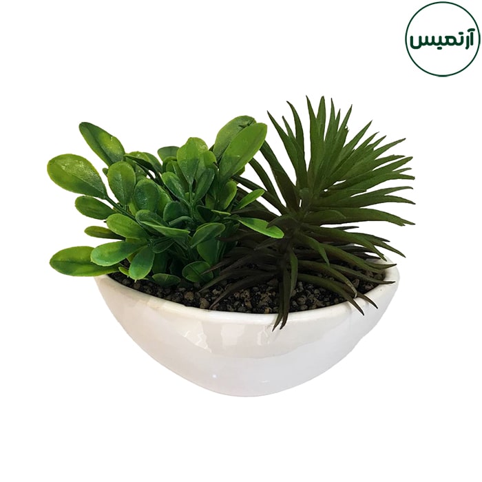 گلدان کاکتوس مصنوعی قایقی 2 گلدان کاکتوس مصنوعی قایقی سوزنی