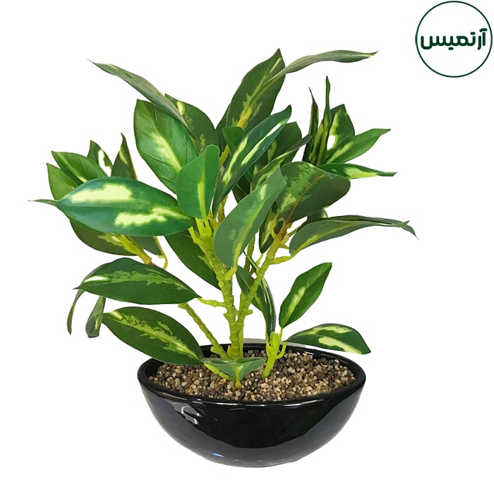 گلدان برگ مصنوعی قایقی