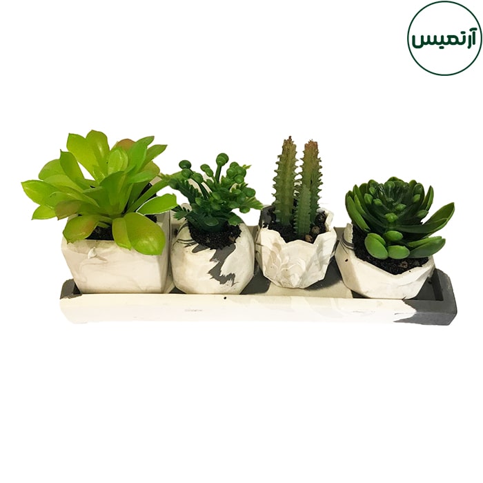 گلدان کاکتوس مصنوعی 4تایی 7 گلدان کاکتوس مصنوعی 4تایی برگی