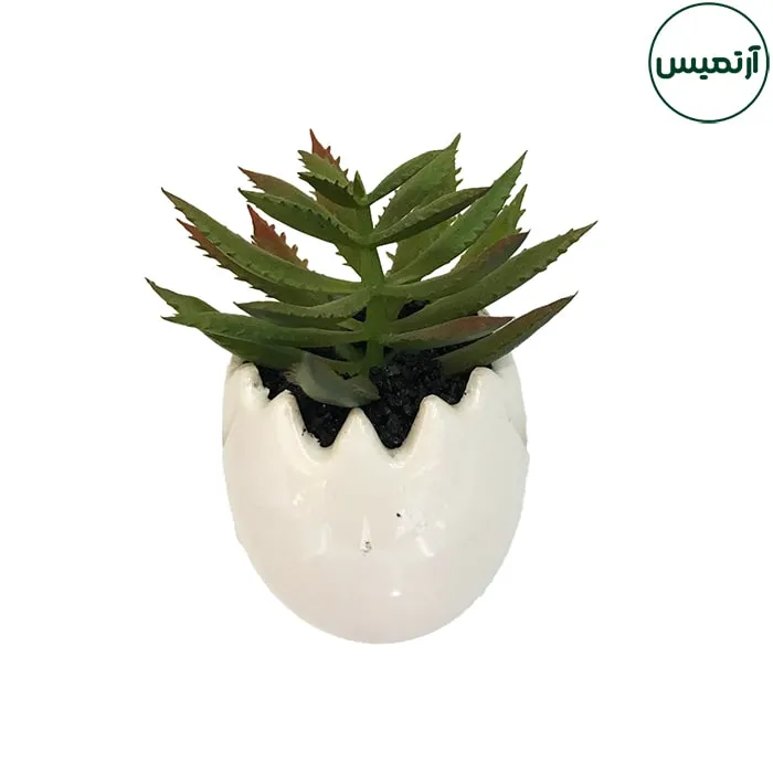 گلدان کاکتوس مصنوعی مدل تخم مرغی 2 8 گلدان کاکتوس مصنوعی مدل تخم مرغی2