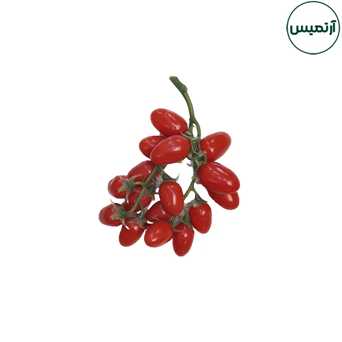 گوجه گیلاسی مصنوعی