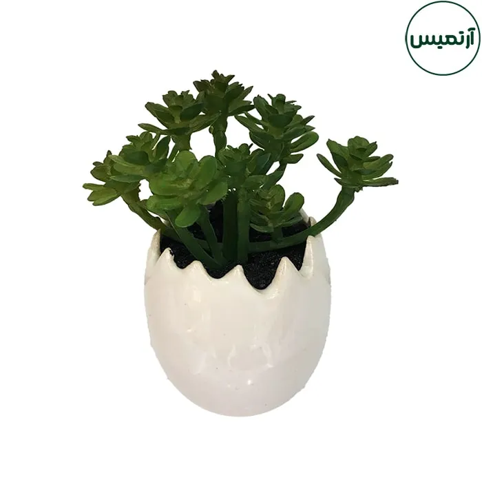 گلدان کاکتوس مصنوعی مدل تخم مرغی1 7 گلدان کاکتوس مصنوعی مدل تخم مرغی1