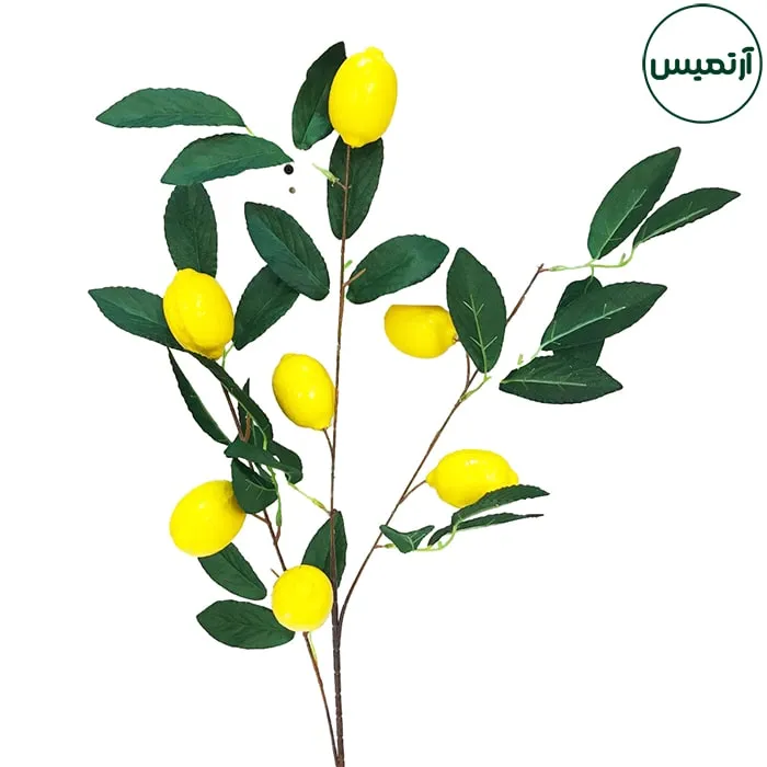 شاخه لیمو مصنوعی