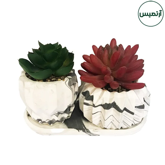 گلدان کاکتوس مصنوعی دو تایی 4 گلدان کاکتوس مصنوعی دو تایی