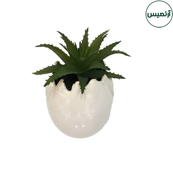گلدان کاکتوس مصنوعی مدل تخم مرغی1