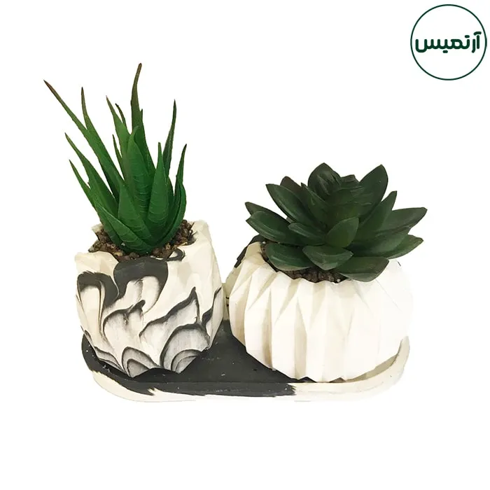 گلدان کاکتوس مصنوعی دو تایی 5 گلدان کاکتوس مصنوعی دو تایی