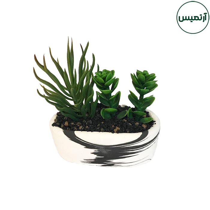 گلدان کاکتوس مصنوعی بیضی 2 گلدان کاکتوس مصنوعی بیضی