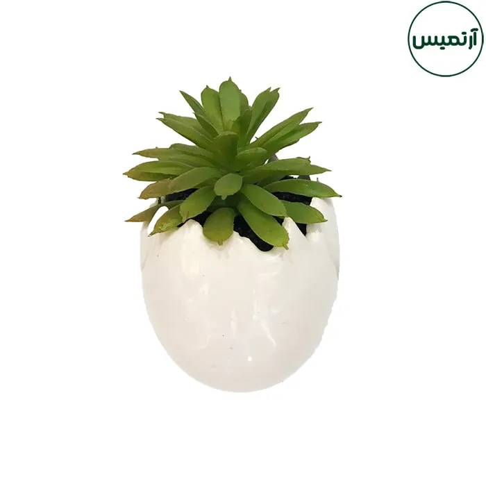 گلدان کاکتوس مصنوعی مدل تخم مرغی1 6 گلدان کاکتوس مصنوعی مدل تخم مرغی1
