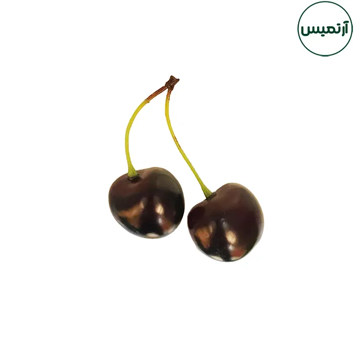 گیلاس مصنوعی تیره 1 گیلاس مصنوعی تیره