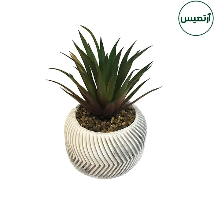 گلدان کاکتوس مصنوعی بزرگ