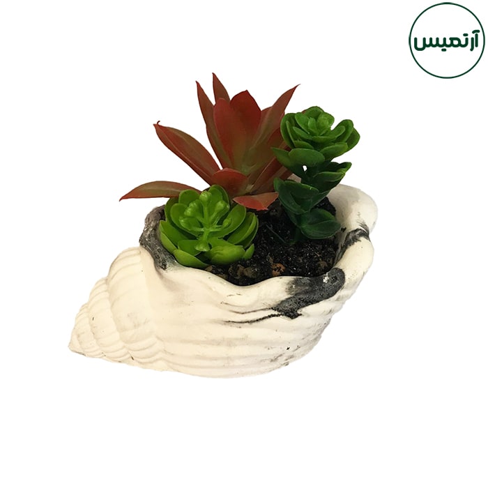 گلدان کاکتوس مصنوعی حلزونی 5 گلدان کاکتوس مصنوعی حلزونی