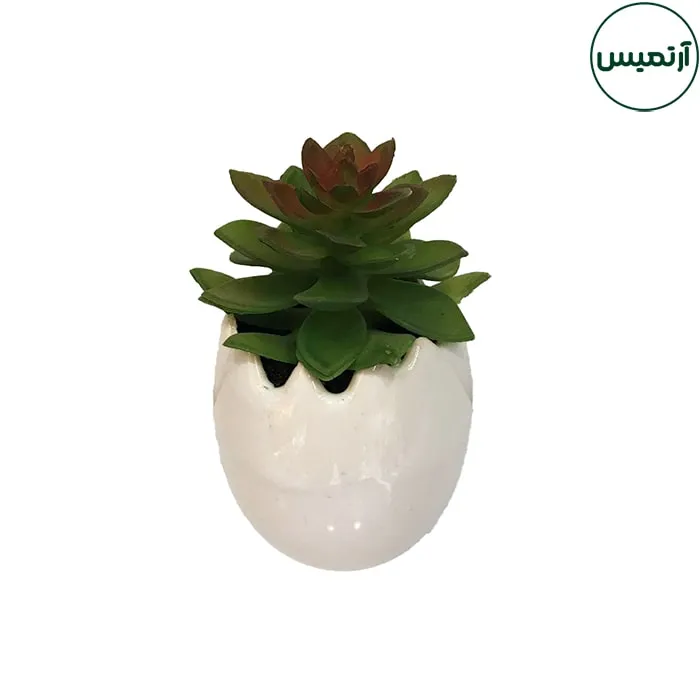 گلدان کاکتوس مصنوعی مدل تخم مرغی1 5 گلدان کاکتوس مصنوعی مدل تخم مرغی1