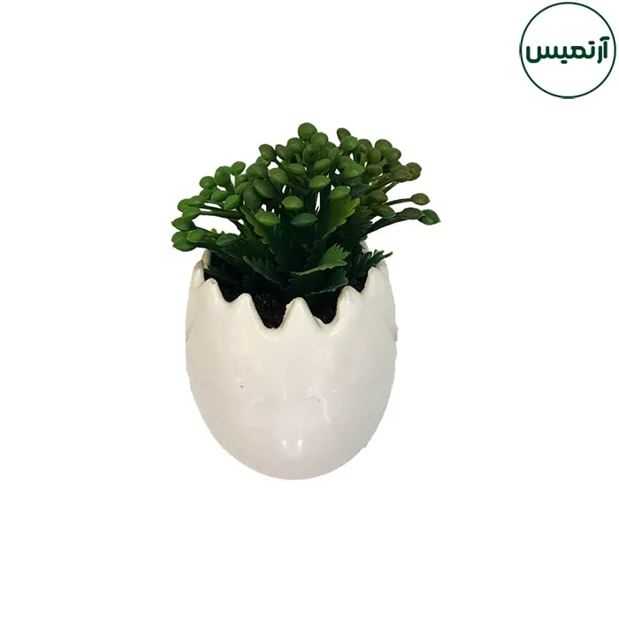 گلدان کاکتوس مصنوعی مدل تخم مرغی1 4 گلدان کاکتوس مصنوعی مدل تخم مرغی1