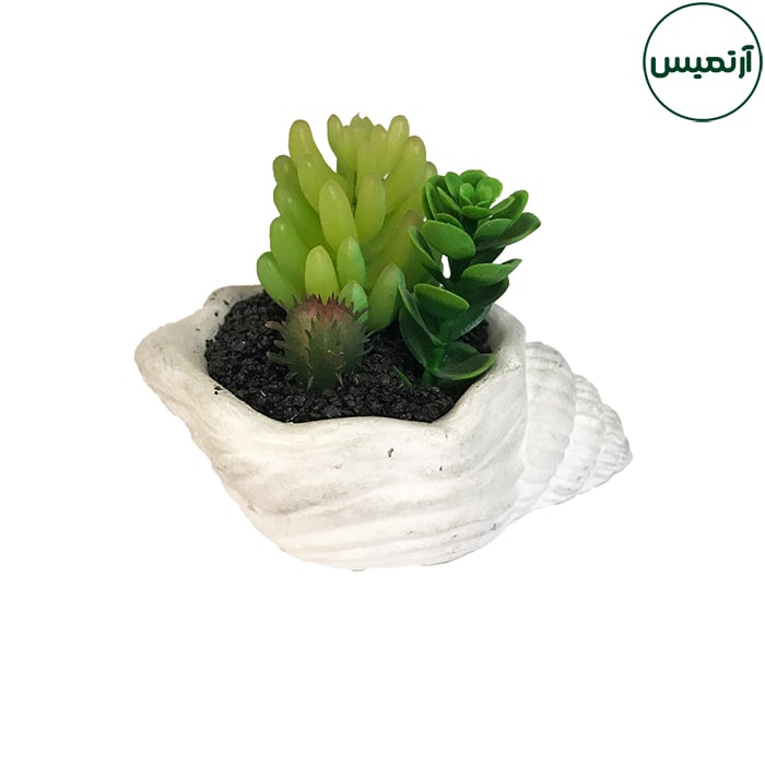 گلدان کاکتوس مصنوعی حلزونی 6 گلدان کاکتوس مصنوعی حلزونی کاجی