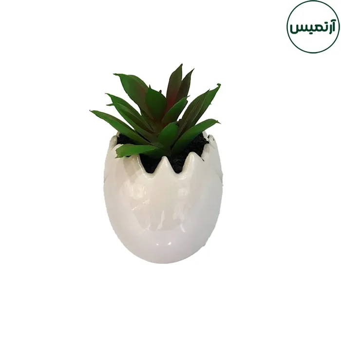گلدان کاکتوس مصنوعی مدل تخم مرغی1 2 گلدان کاکتوس مصنوعی مدل تخم مرغی1