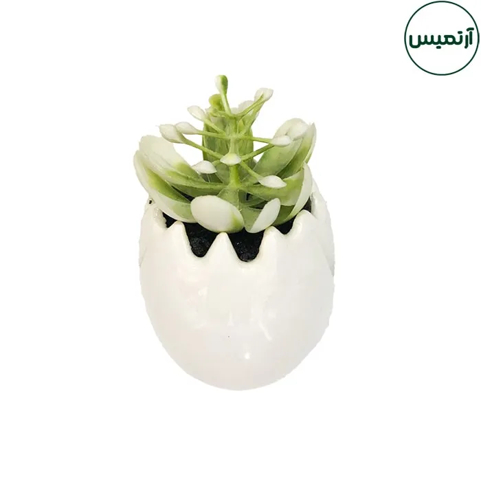 گلدان کاکتوس مصنوعی مدل تخم مرغی1 3 گلدان کاکتوس مصنوعی مدل تخم مرغی1