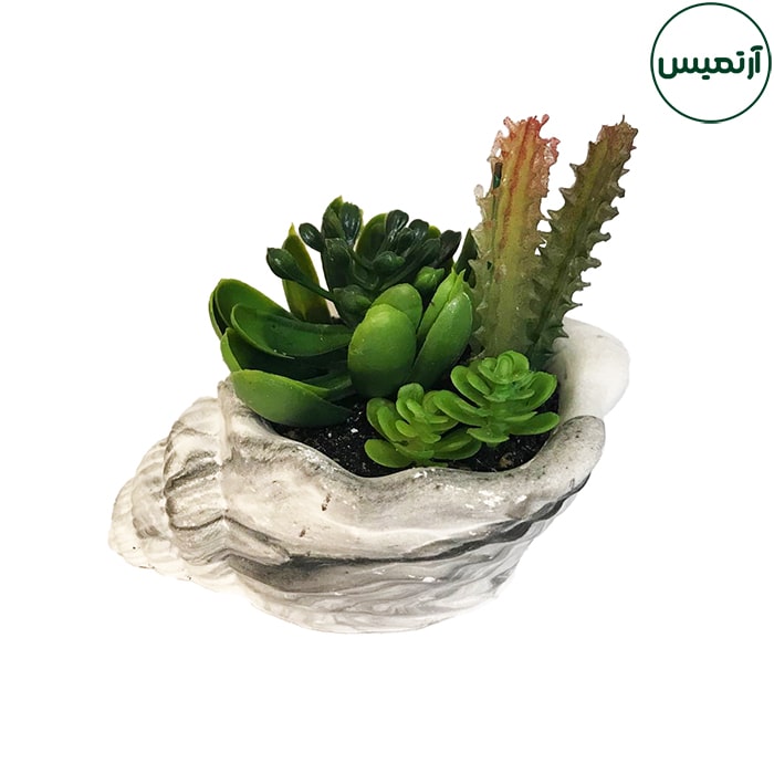 گلدان کاکتوس مصنوعی حلزونی 7 گلدان کاکتوس مصنوعی حلزونی تکزاس