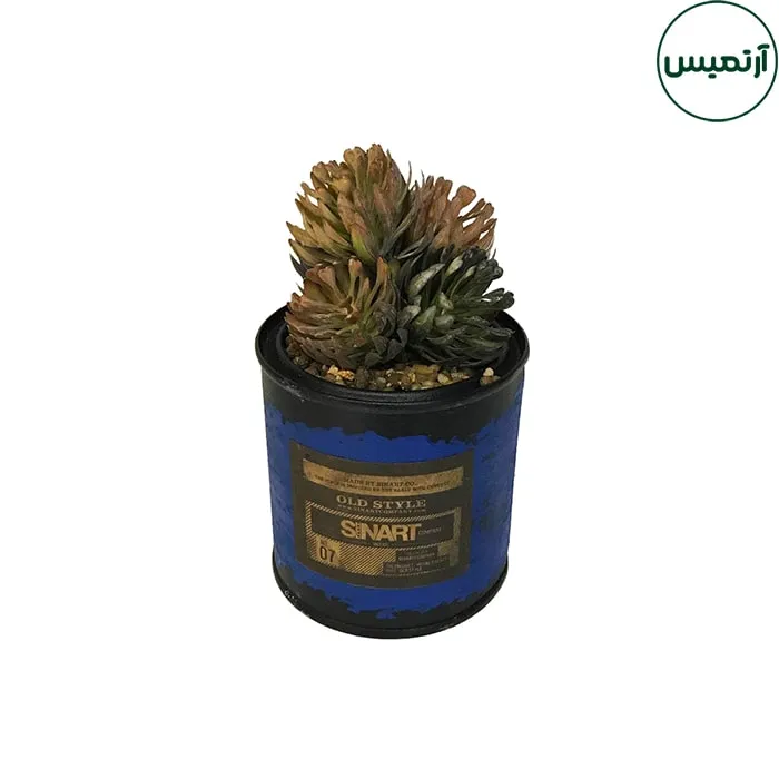 گلدان کاکتوس مصنوعی فلزی کوچک 3 گلدان کاکتوس مصنوعی فلزی کوچک