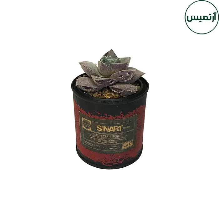 گلدان کاکتوس مصنوعی فلزی کوچک 5 گلدان کاکتوس مصنوعی فلزی کوچک