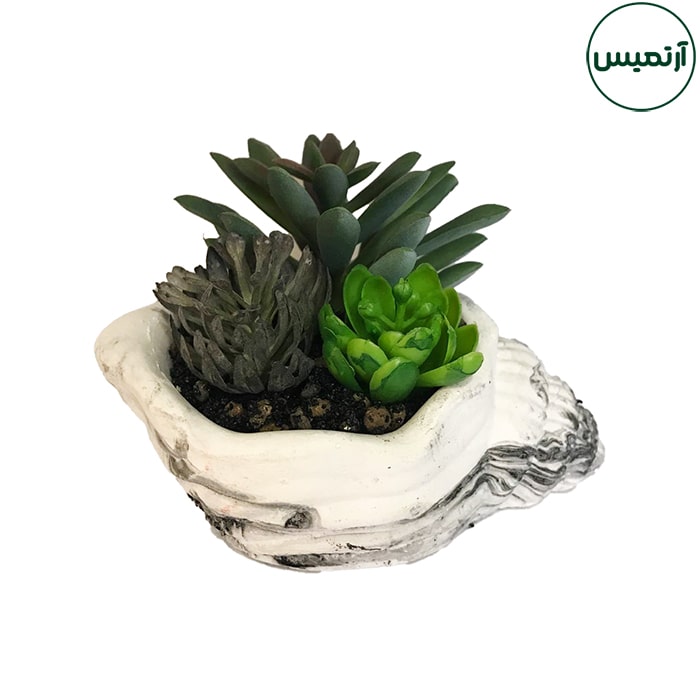 گلدان کاکتوس مصنوعی حلزونی 8 گلدان کاکتوس مصنوعی حلزونی بنفش ۲