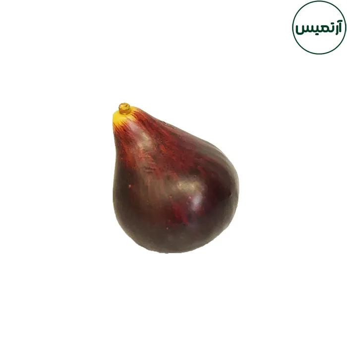 انجیرمصنوعی