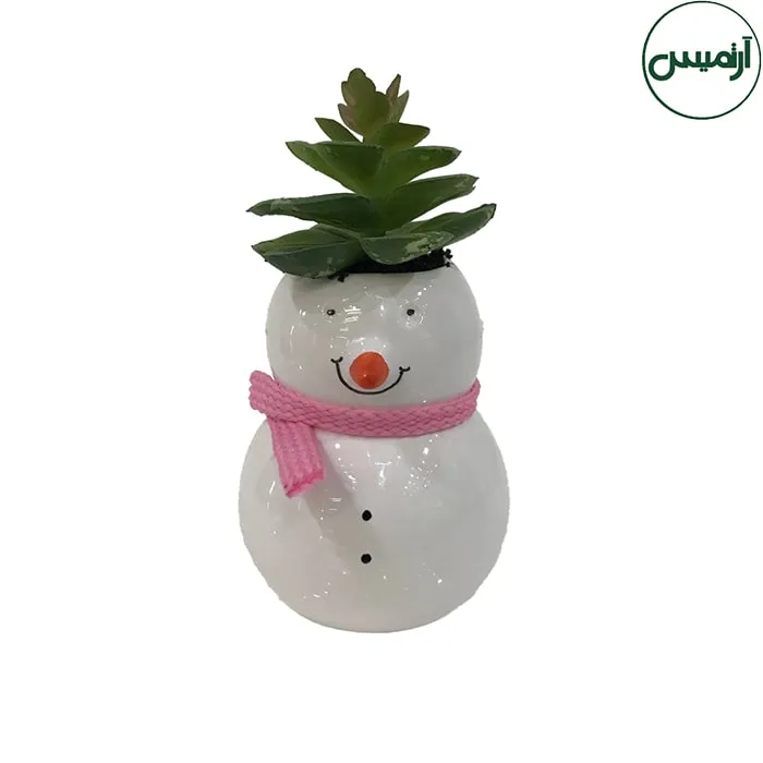 گلدان کاکتوس مصنوعی آدم برفی 4 گلدان کاکتوس مصنوعی آدم برفی