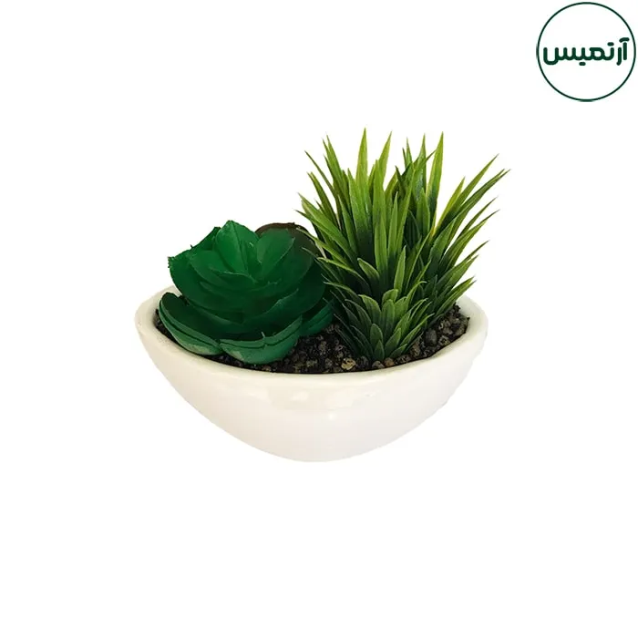 گلدان کاکتوس مصنوعی قایقی