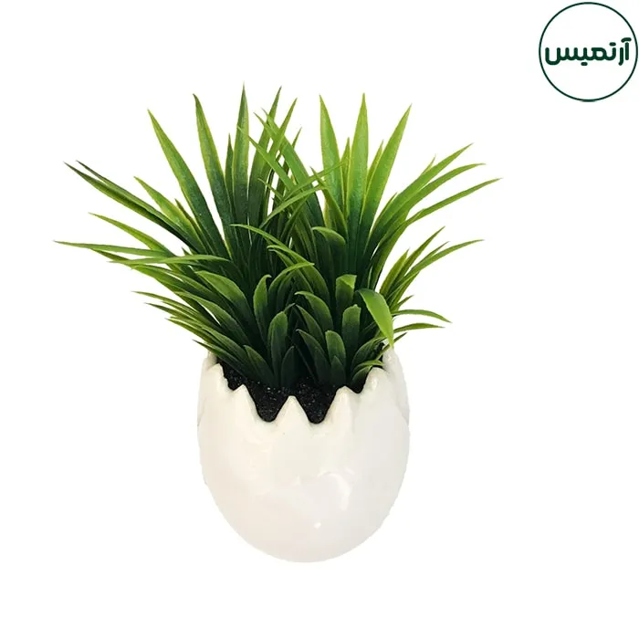 گلدان کاکتوس مصنوعی مدل تخم مرغی2