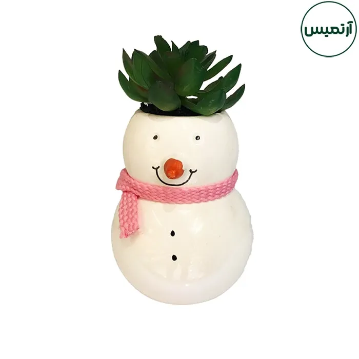 گلدان کاکتوس مصنوعی آدم برفی 